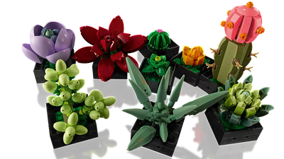 Lego Botanicals 10309 Les succulentes