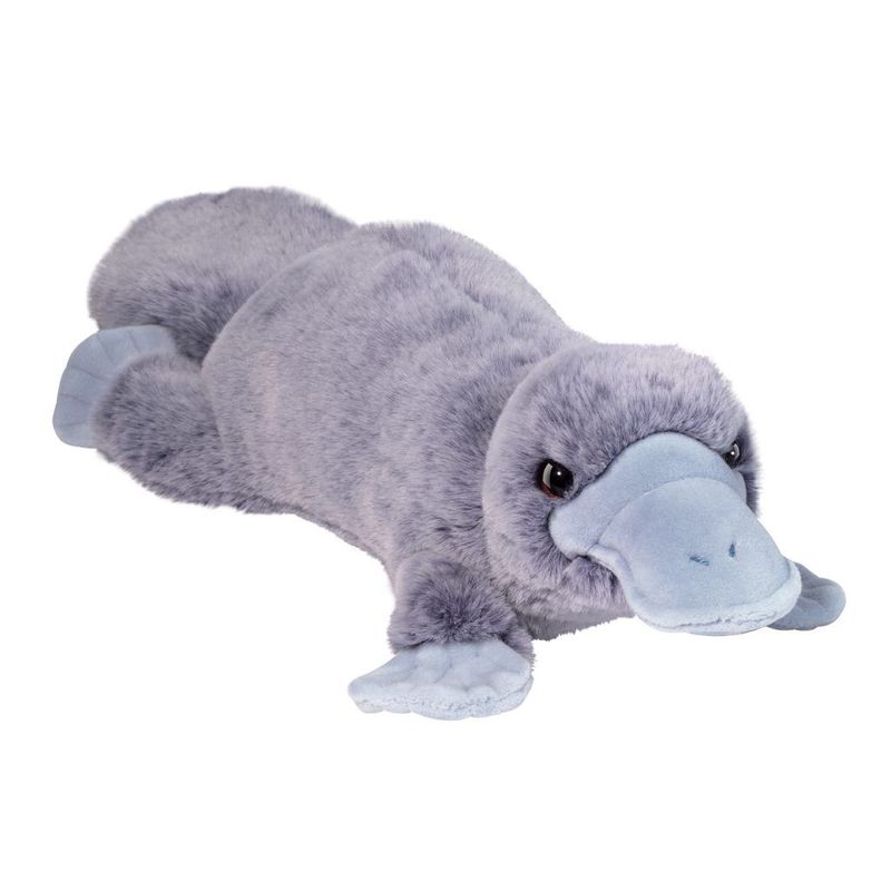 Allie Ornithorynque