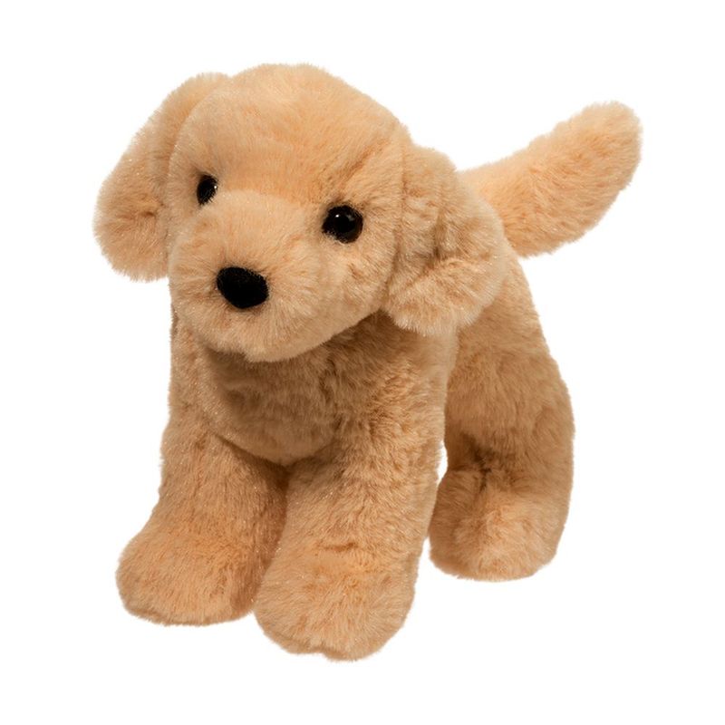 Cornell Labrador