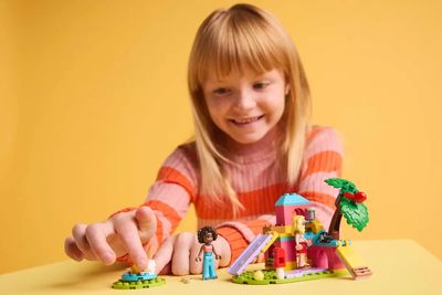 Lego Friends 42640 L’aire de jeu des cochons d’Inde