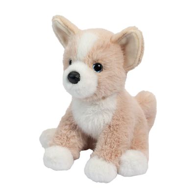 Pookie Pomsky Mini