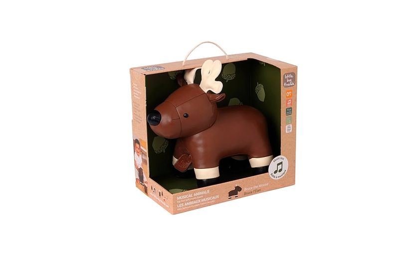 Bruce l'Elan musical