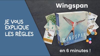 Wingspan  FR