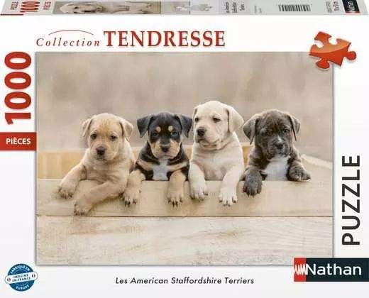 PZ1000 American Staffordshire Terriers