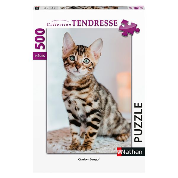 PZ500 Chaton bengal