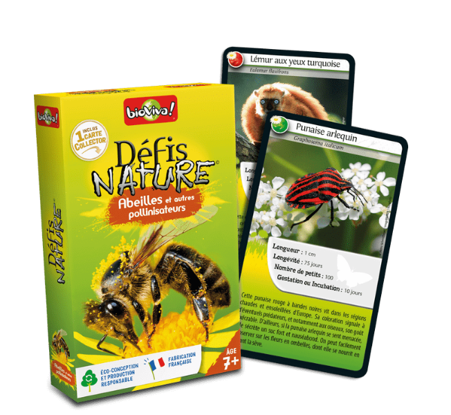Défis Nature - Abeilles et autre pollinisateurs