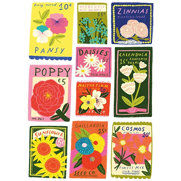 PZ1000 Seeds, McNeil