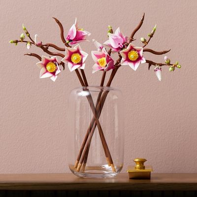 LEGO Botanicals 11510 Magnolia Branches