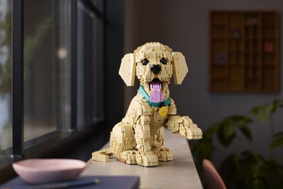 LEGO Icons 11384 Golden Retriever Puppy
