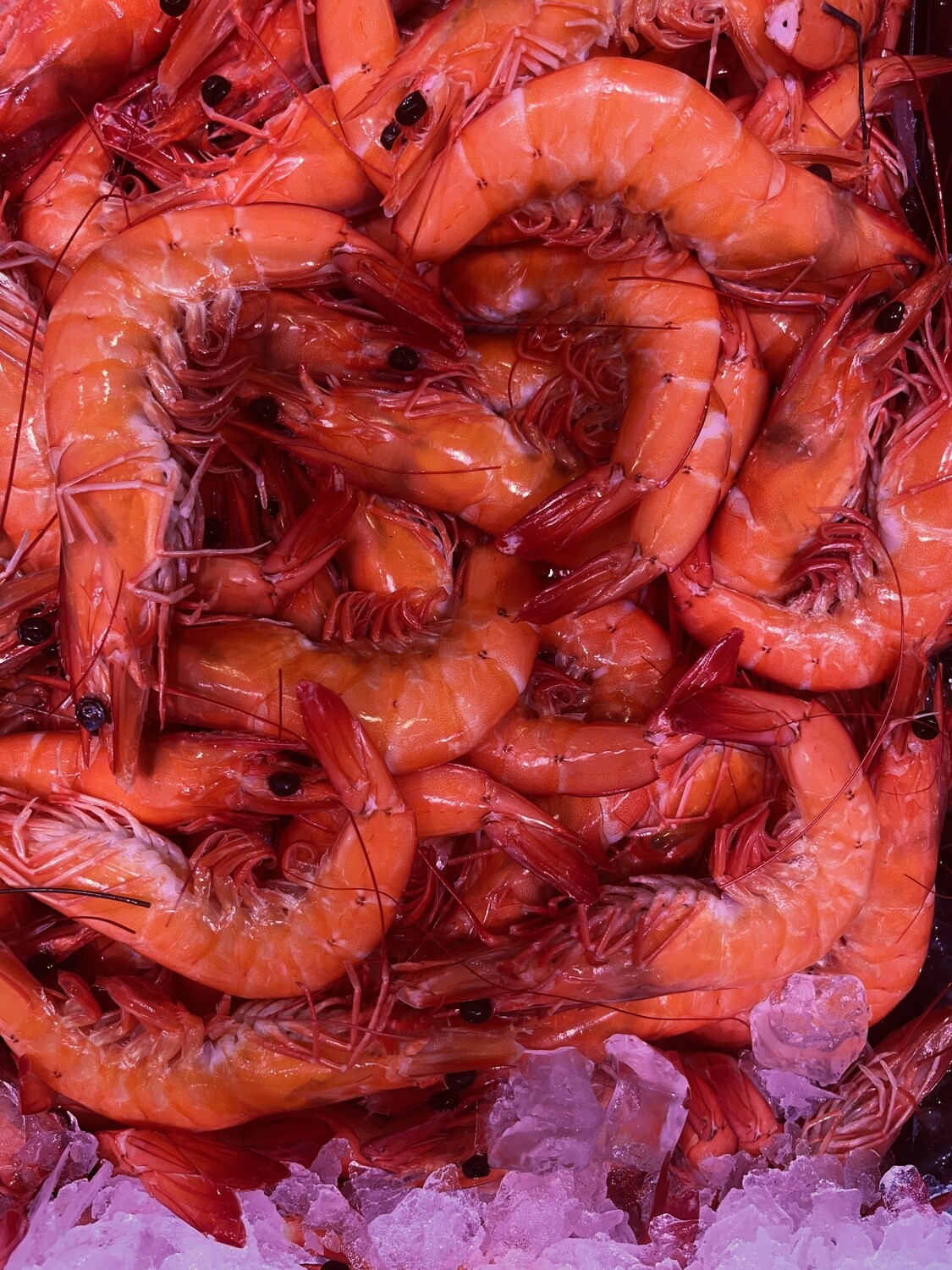 Vannamei Prawns Cooked Extra Large