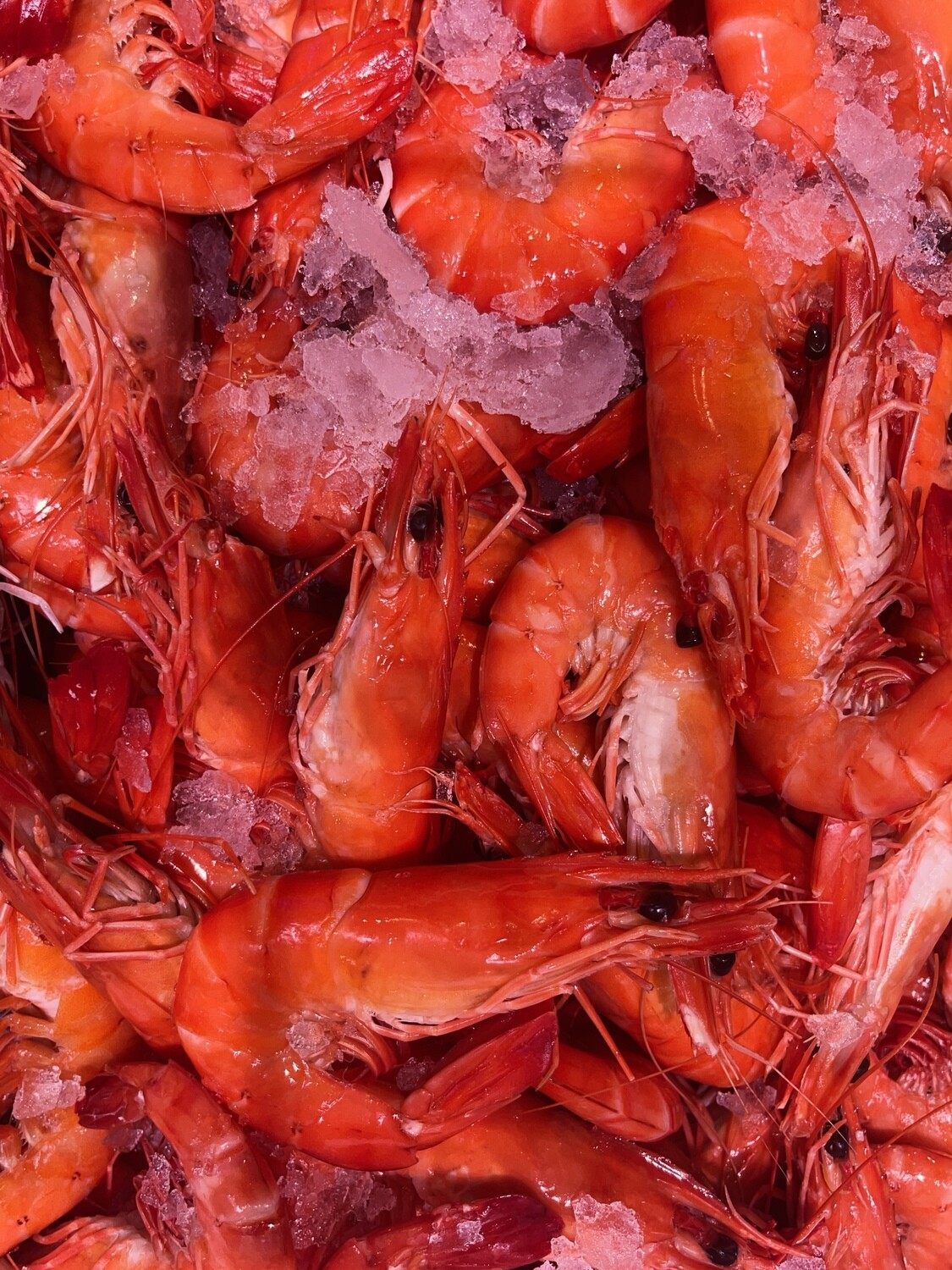 Tiger Prawns Cooked Extra Large