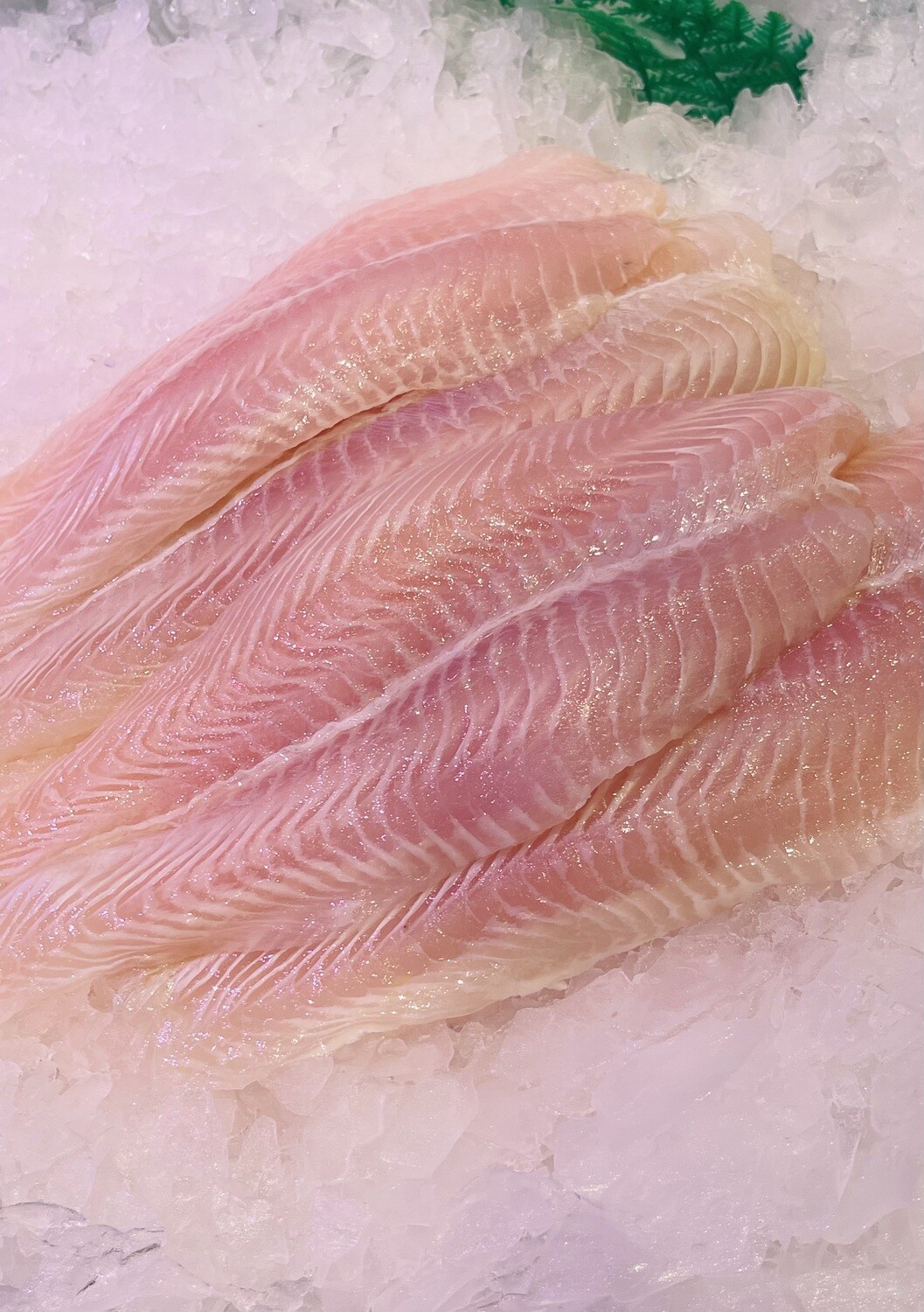 Large Pacific Dory Fillets