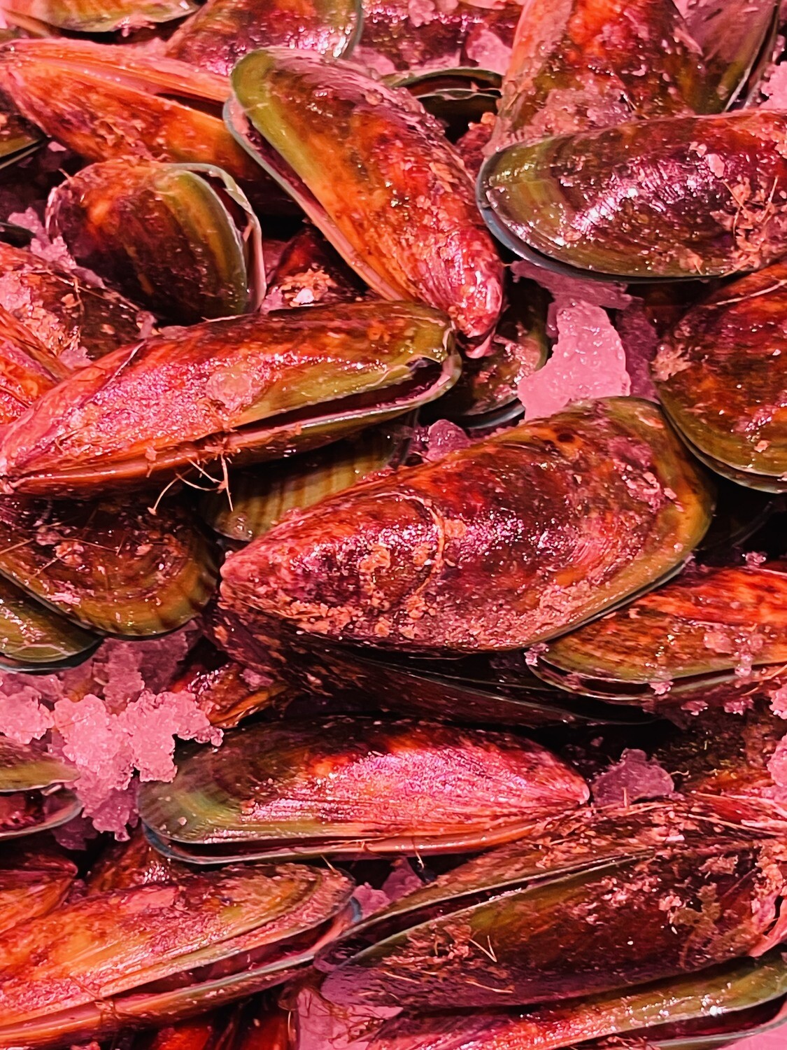 Green NZ Mussels