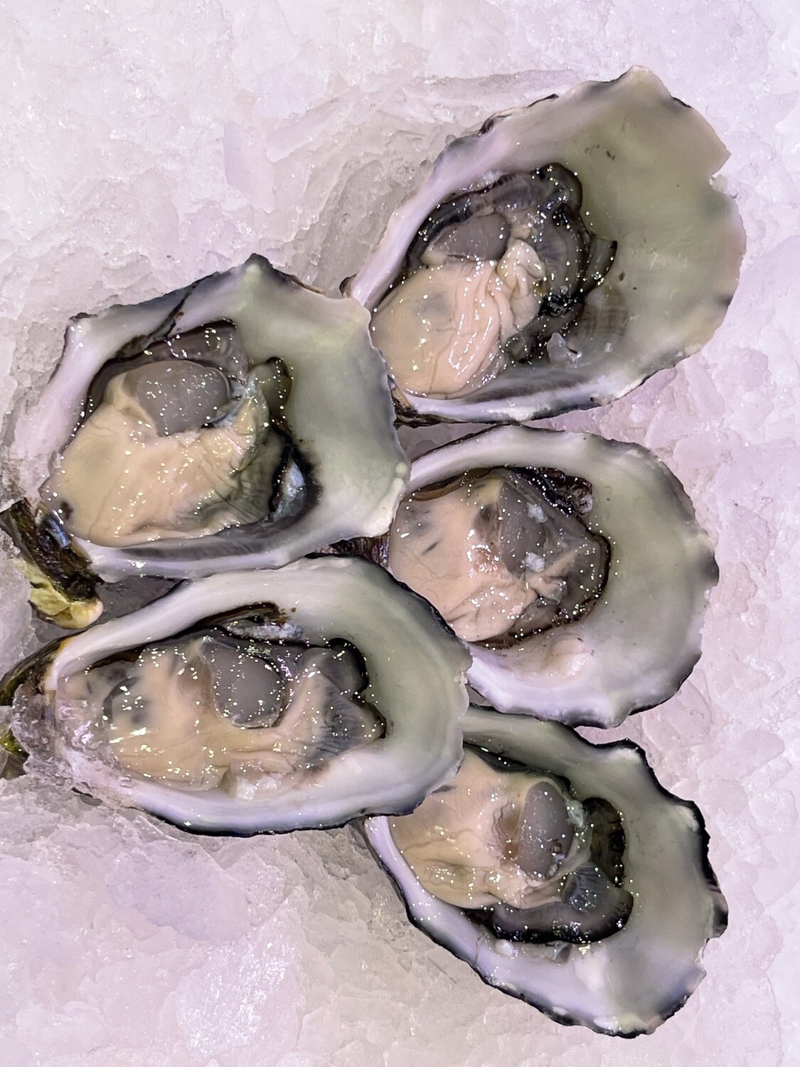 Large Pacific Oysters 1/2 Dozen