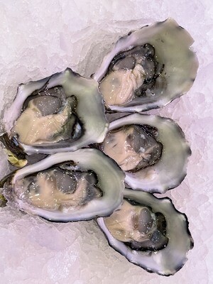 Large Pacific Oysters 1/2 Dozen