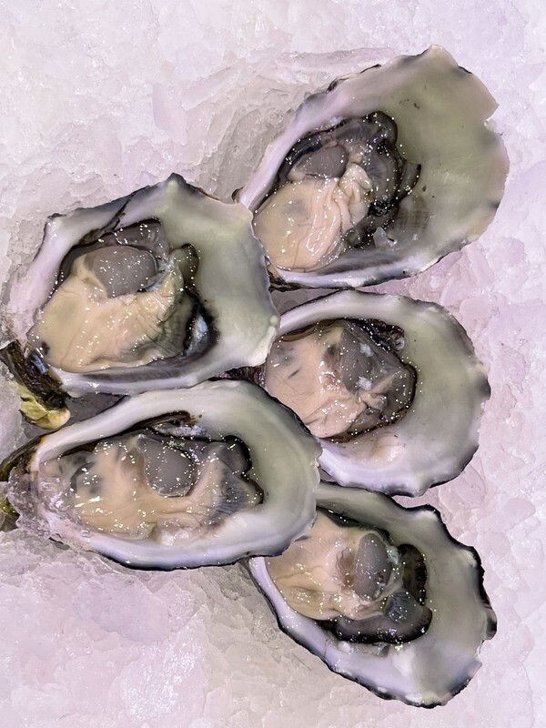 Large Pacific Oysters 1 Dozen