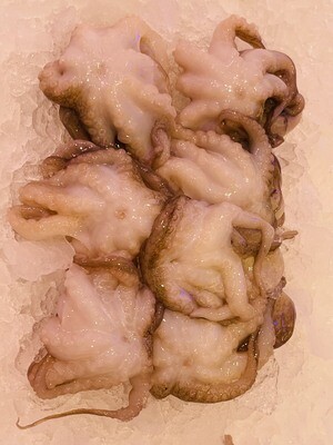 Octopus Cleaned Baby