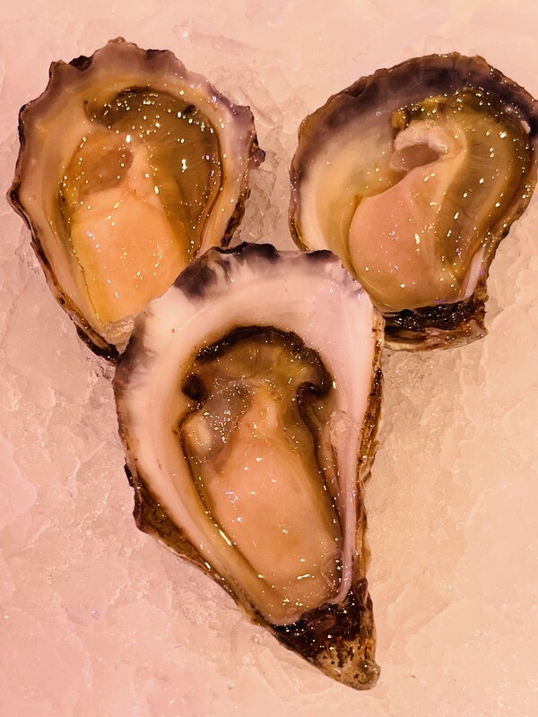 Sydney Rock Oysters 1 Dozen
