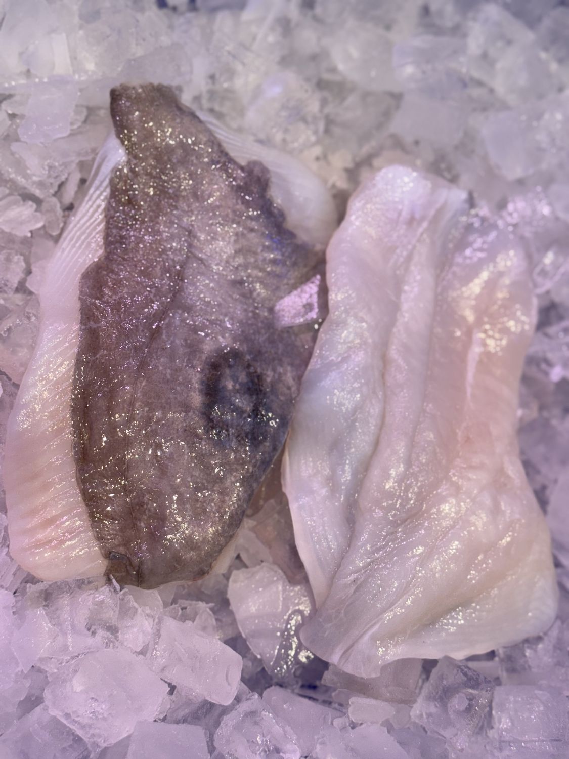 John Dory Fillets