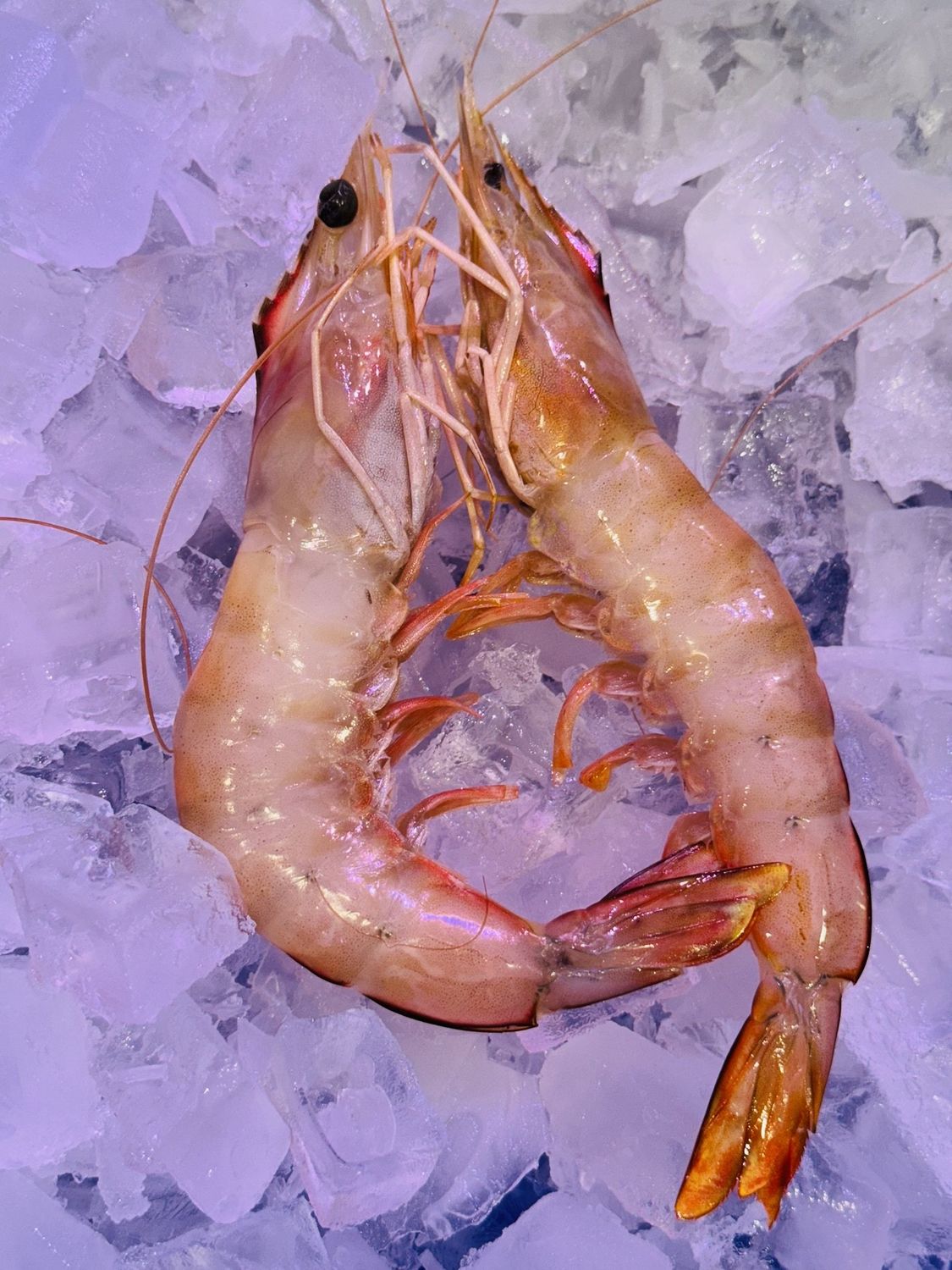 Green Banana Prawns Extra Large