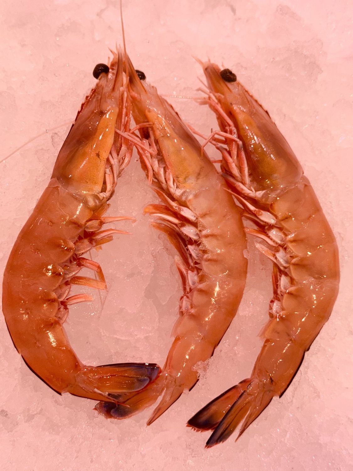 Green King Prawns Extra Large