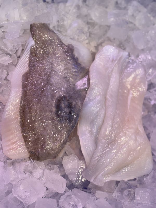 John Dory Fillets