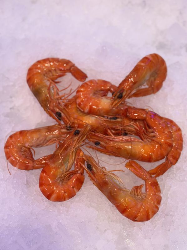 Tiger Prawns Cooked Large