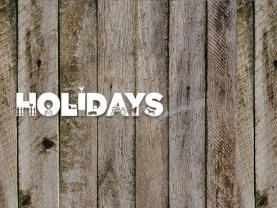 For the Holidays