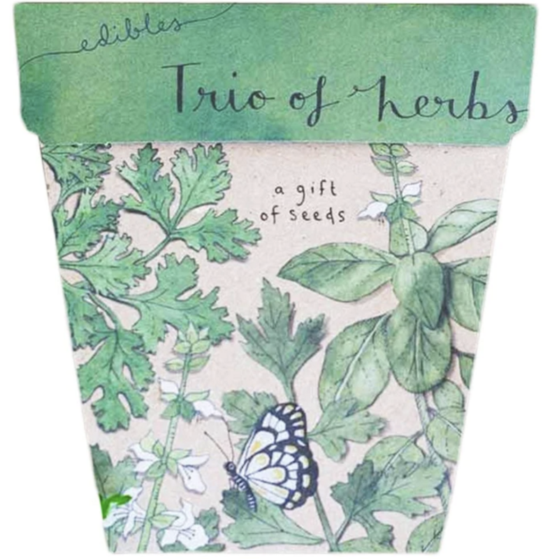 Seed Card - Trio of Herbs