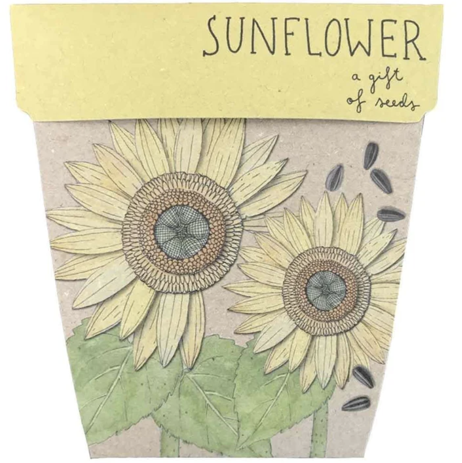 Seed Card - Sunflower