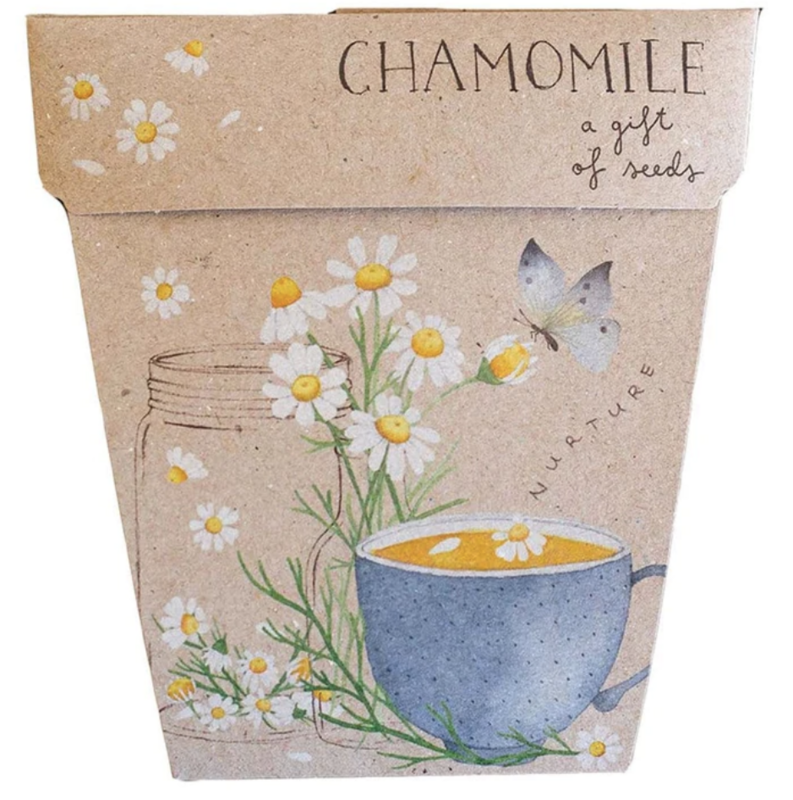 Seed Card - Chamomile