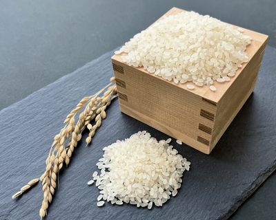 RICE