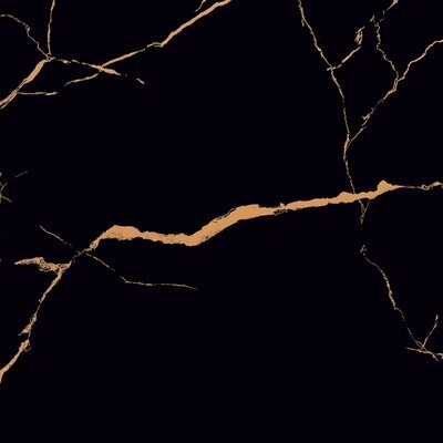 Softline Black 60x60 Gold Polished Tile