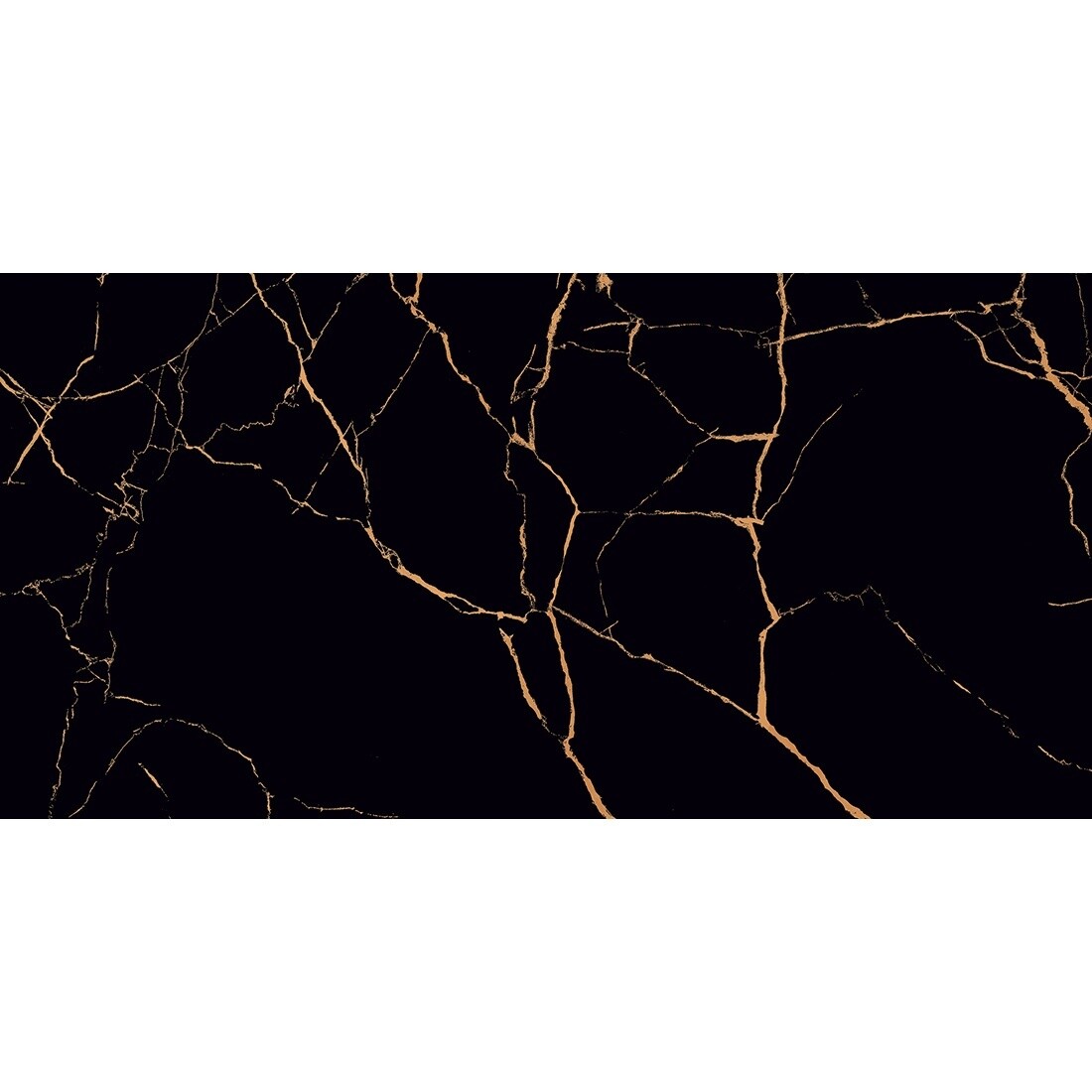 Softline Black 60x120 Gold Polished Tiles