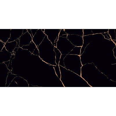 Softline Black 60x120 Gold Polished Tiles