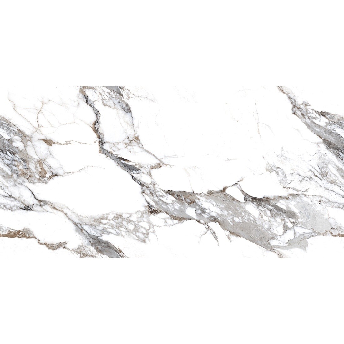 Calacatta Borghini 60x120 Grey Matt Tile