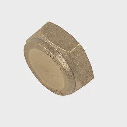 Brass Compression Blanking Nut 22mm 80500