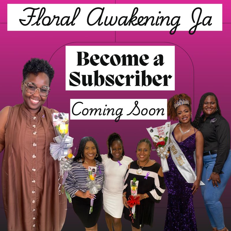 Subscription Packages