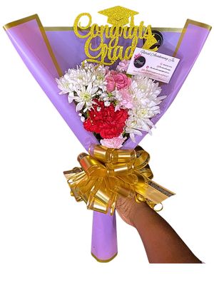 Freestyle Small $7500 BUNDLE DEAL-GRAD