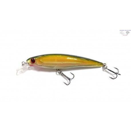 Truan swimmer 65 i f