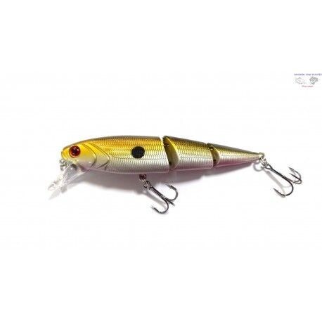 Catch swimmer