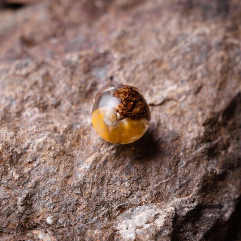 Hookbait maiz-chufa 20,, 4 uni