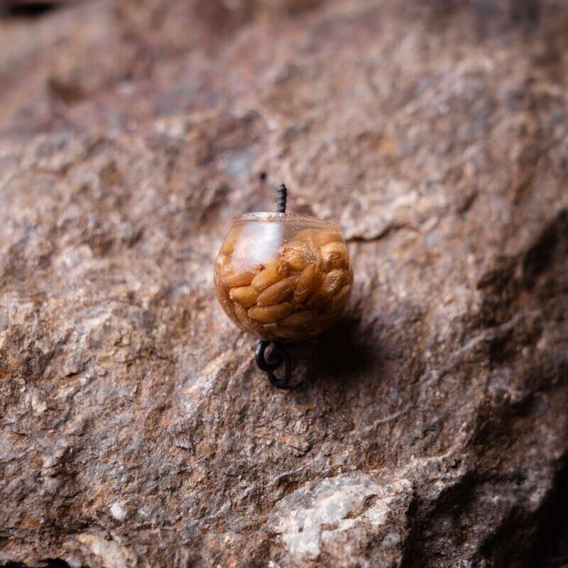 Hookbait snowman trigo 20mm 4 uni
