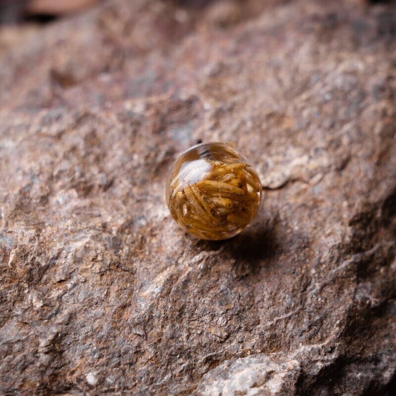 Hookbait asticot 20mm 4 uni