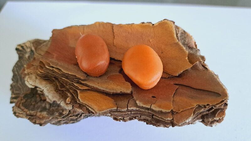 Pop up infinity baits Haba 4uni