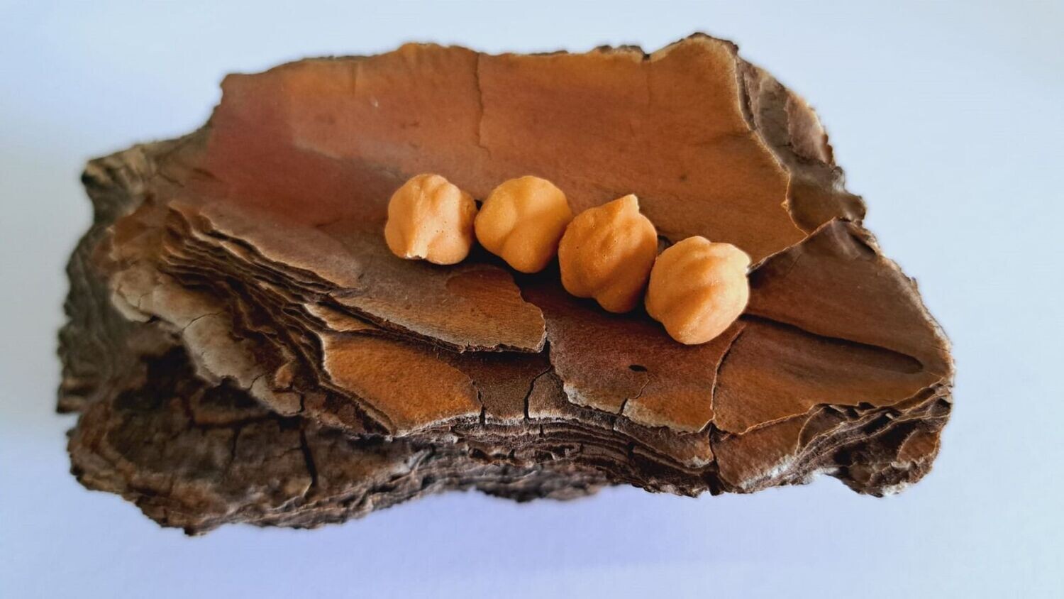 Pop up infinity baits garbanzo 10 uni