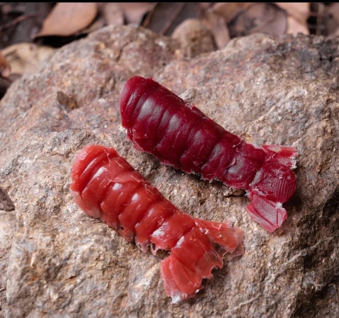 Sinking infinity baits cola cangrejo 4uni