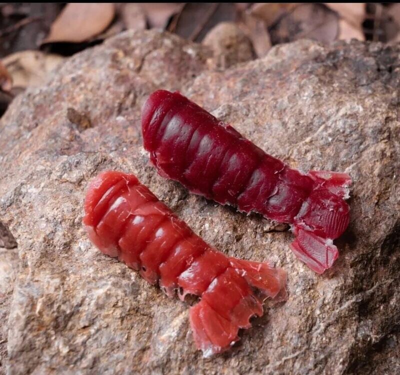 Sinking infinity baits cola cangrejo 4uni