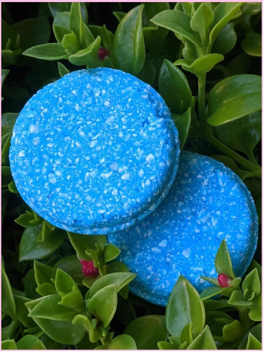 Coconut Lime shampoo bar