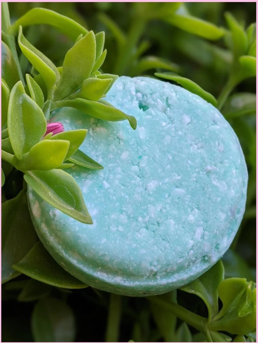 Eucalyptus shampoo bar